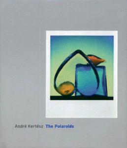 andre-kertesz-the-polaroids-livre-photo